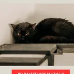 Kawa 616093903032209