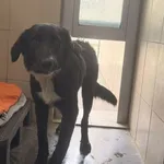 Salsa