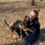 Pies do adopcji, Milanówek, 2 kwietnia 2026