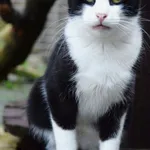 Oddam kota, Mątki, 12 kwietnia 2026