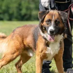 Berni