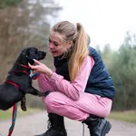 Pies do adopcji, Nowodwór, 16 kwietnia 2026