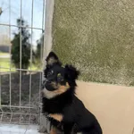 349272 Tinka