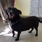 Wd-69 Felek ID: 2347