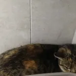 Sierściuszka 131/2026