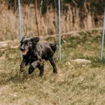 Jagger 616093903264541