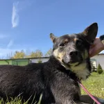 349192 Baxter