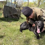 Pies do adopcji, Bełchatów, 12 lutego 2025