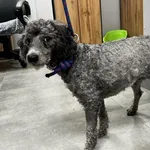 Suczka poz. 26/0231
