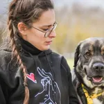 Pies do adopcji, Radom, 5 maja 2026