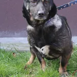Lucja 191/26