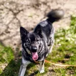 Nuki