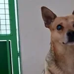 Szymuś