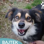 Bajtek