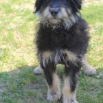 Wisa 226/26