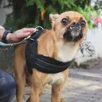 Roxy