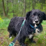 Drogi/ Sami