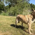 352861 Xena
