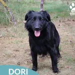 Dori