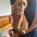 Tom.