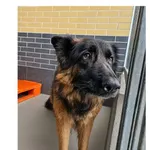Frida