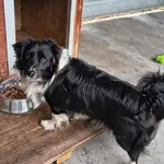 Burger ID: 6569
