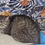 Kre-89 ID: 2406