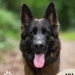 Mia