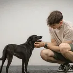 Pies do adopcji, Nowodwór, 30 czerwca 2026
