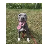 Tyson