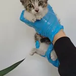 Unit