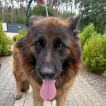 Nora