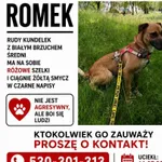 Romek