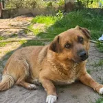 Kubik