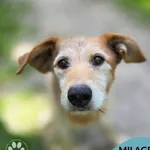 Milagro