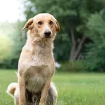 Kaiser