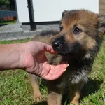 Milka