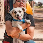 Pies do adopcji, Milanówek, 31 lipca 2026