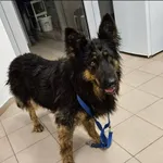 Kiraka