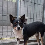 Ferdek