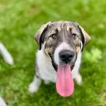 Lucy