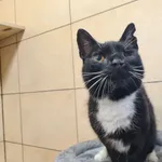 Zula