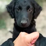 Frida