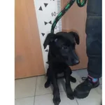 Zalia