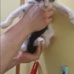 Sahara
