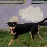 Sabina