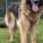 Rurka