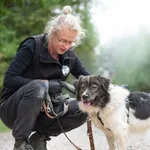 Pies do adopcji, Nowodwór, 13 września 2026