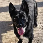 Czarek ID: 6723