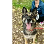 Diana